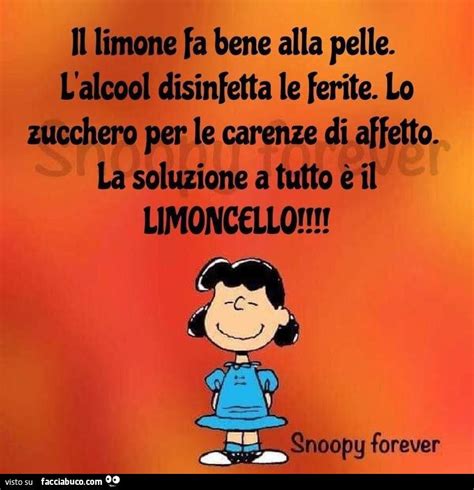 Tutti i meme su lucy van pelt – Artofit