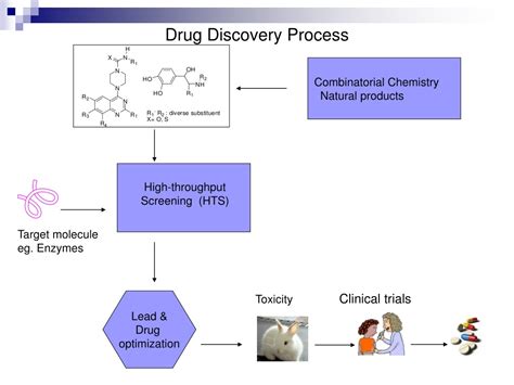 PPT FRAGMENT BASED DRUG DESIGN PowerPoint Presentation Free