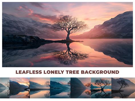 Lonely Tree Background Graphic by HL.DSGN24 · Creative Fabrica