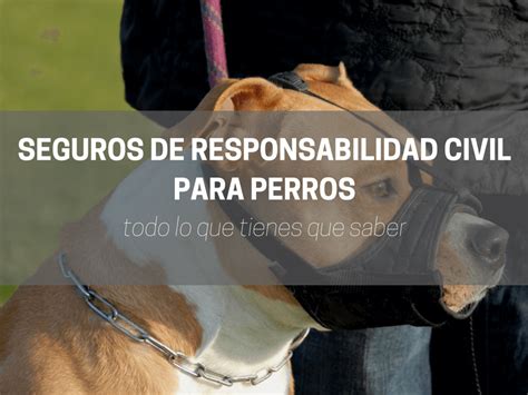 Explicaci N Del Seguro De Responsabilidad Civil Para Perros