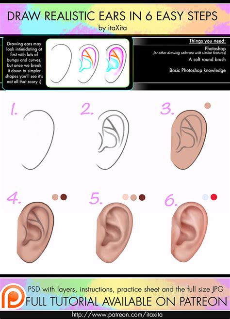 How To Draw Realistic Ears By Itaxita On Deviantart