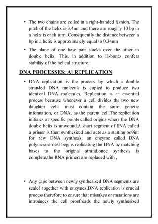 Dna PDF