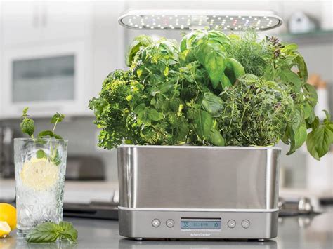 This Hydroponic Indoor Garden Is Ideal for Anyone With a Green Thumb