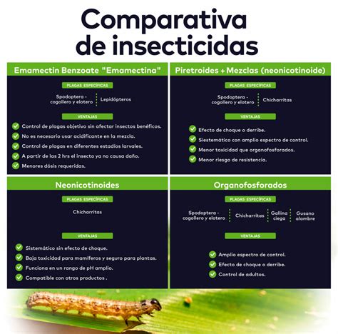 ¿cómo Elegir El Insecticida Adecuado Para Mi Cultivo De Maíz