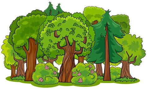 Forêt Mixte Avec Dessin Animé D And 39 Arbres 1417741 Art Vectoriel