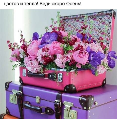 Vanechka.by - интернет-магазин детских товаров в Беларуси - Говорящий ...