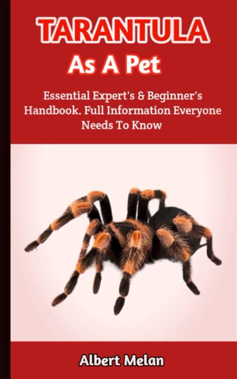 Buy Tarantula As A Pet A Complete Guide To Learn All You Need To Know