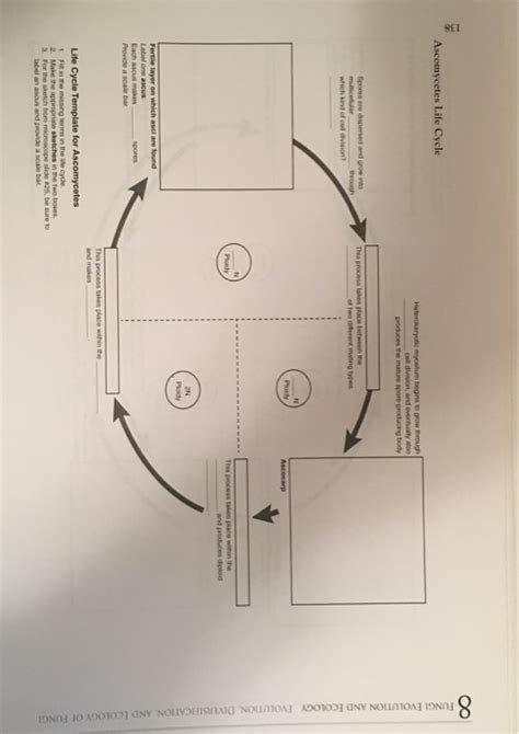 Solved FUNGI EVOLUTION AND ECOLOGY EVOLUTİON, | Chegg.com 