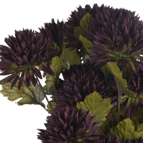 Chocolate Chrysanthemum Wholesale By Hill Interiors