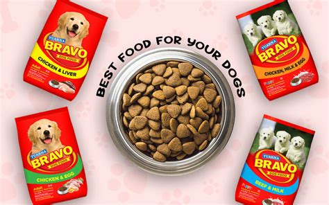 Is There A Recall On Alpo Dry Dog Food