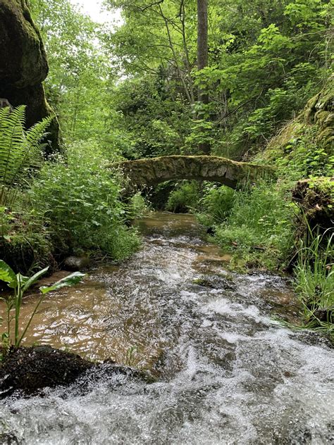 Des balades au fil de l eau Actualités Moulin de Nouara