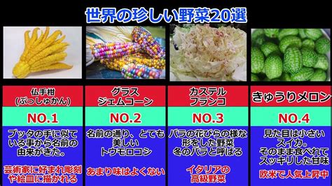 【雑学】世界の珍しい野菜20選 ランキング風 Youtube