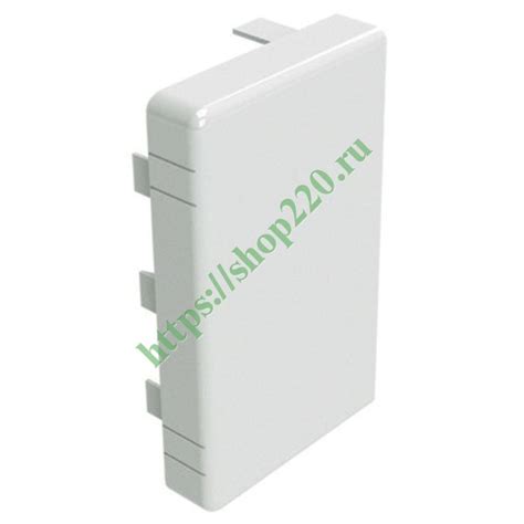 Заглушка LAN 120х60 для кабель-канала DKC In-liner 00877 купить по ...