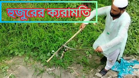 হুজুর কি ভাবে বিষাক্ত সাপ ধরে দেখুনকড়ি চালান দিয়ে সাপ ধরা