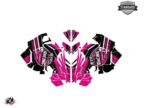 Kit D Co Motoneige Polaris Racing Noir Rose Kutvek