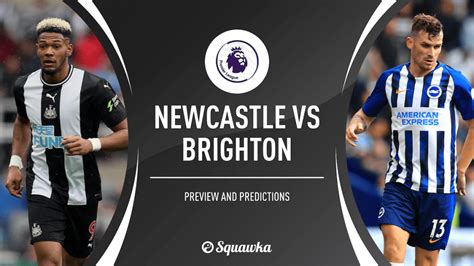 Newcastle Vs Brighton Alli Luella