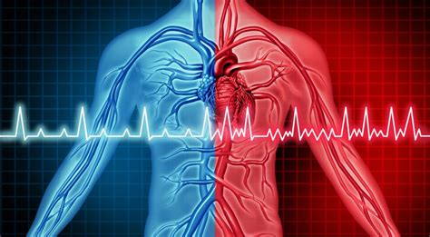 Warning Signs Of Arrhythmia Cvrti