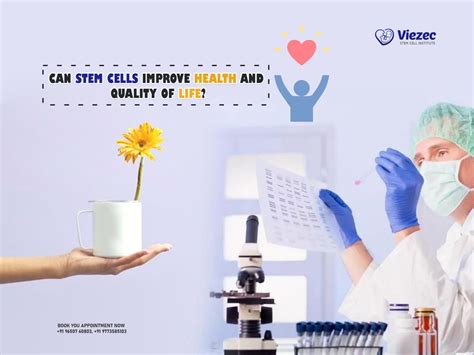 Can Stem Cells Improve Health And Quality Of Life