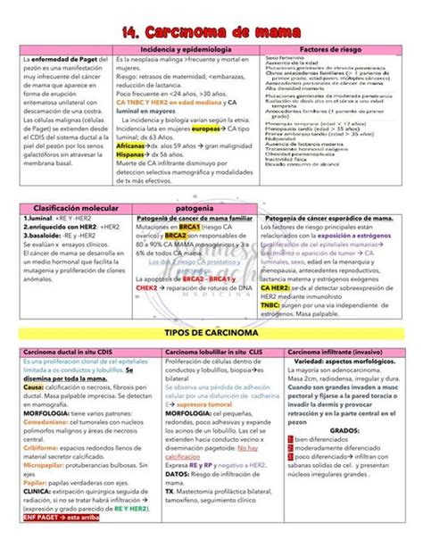 Carcinoma De Mama Vannessa Huarachi Udocz