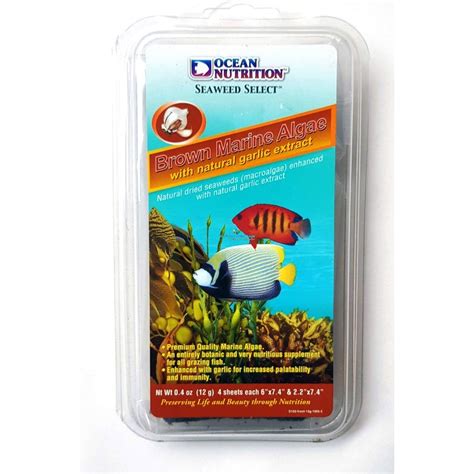 Aquarium Fish Food Niska Cena Na Allegro Pl