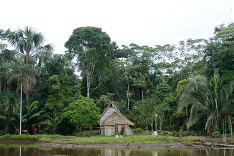 Minam la conservación y uso sostenible de la biodiversidad son nuestra