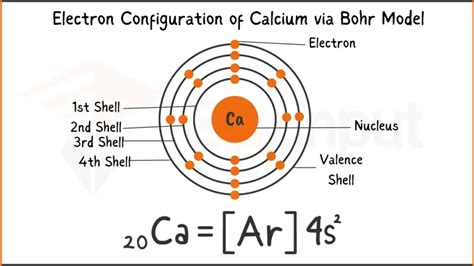 Calcium Discovery Properties And Applications