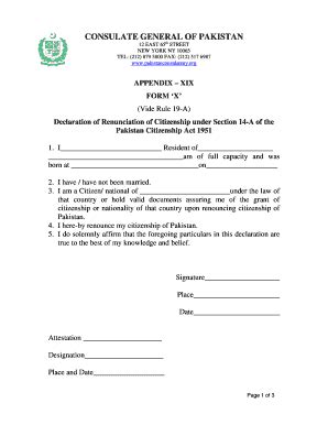 Fillable Online Pakistanconsulateny Renunciation Form Fax Email Print