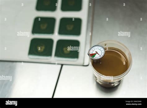 Food thermometer hi-res stock photography and images - Alamy