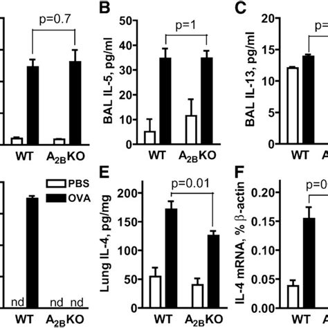 Effect Of A B Receptor Gene Ablation On Proinflammatory Cytokines