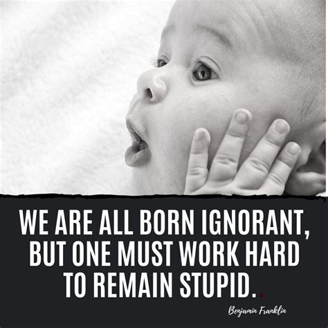 Quotes About Stupidity And Stupid People Art And Home