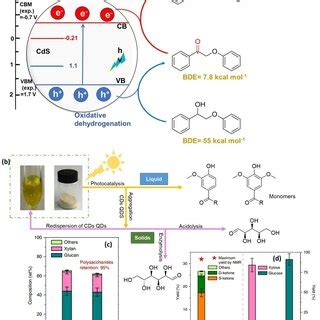 Schematic Representation Of Photocatalytic Lcb Conversion Routes To