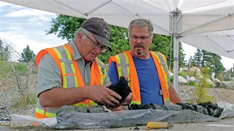 Oak Island Fluch Und Legende S E Hinweise Ber Hinweise A