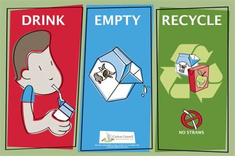 Starting a School Carton Recycling Program | Earth911.com