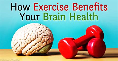 How Does Exercise Benefit Your Brain Online Degrees