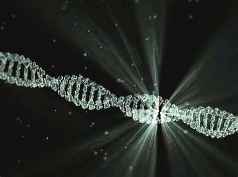 Duchenne Muscular Dystrophy Gene Therapy Gets FDA Fast Track ...