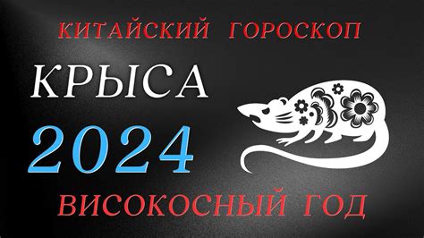 Крыса 2024 Високосный год Китайский Гороскоп год Дракона YouTube