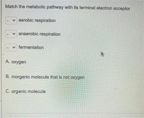 Solved Match The Metabolic Pathway With Its Terminal Chegg