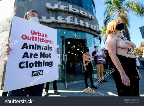 Peta Activists Revealing Naked Truth Wool Stock Photo Shutterstock