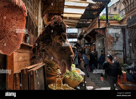 Tête De Chameau Et Viande Spécialités à Un Marché Boucherie Piétons