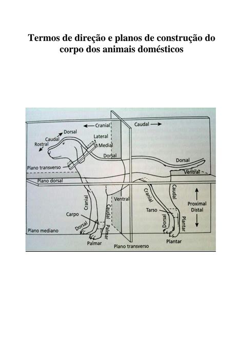 SOLUTION Apostila De Exerc Cios Interativos Aparelho Locomotor Studypool