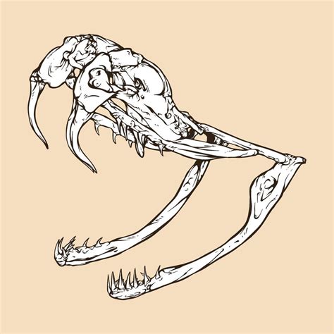 Western Diamondback Rattlesnake Skull Head Vector Illustration 12761874