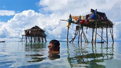 Los bajau el pueblo de superhumanos desarrollado genéticamente para