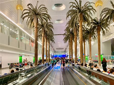 World’s best airports for food and drink | Caliber.Az
