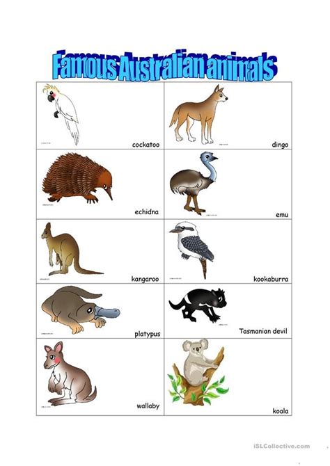 Australian animals - English ESL Worksheets for distance learning and ...