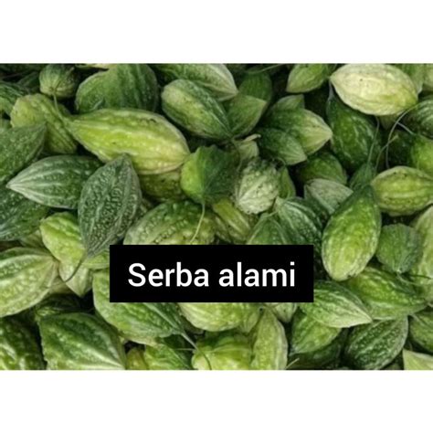 Jual Buah Pare Hutan Atau Pare Gengge Segar 200 Grm Lazada Indonesia