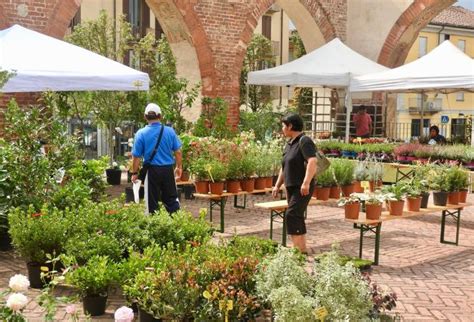 Artigiani Al Castello E Fiori D Autunno Ad Abbiategrasso Date