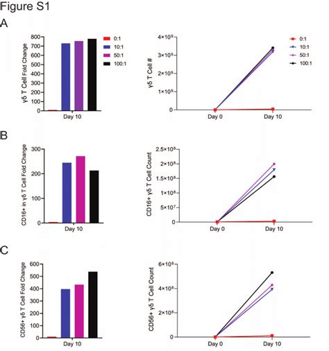 PDF Large Scale Ex Vivo Expansion of γδ T cells Using Artificial