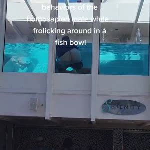 Bare Ass Tiktoks Lpsg