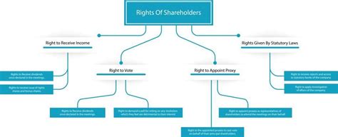 Types Of Shareholders And Their Importance In Business