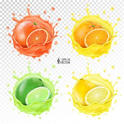 Premium Vector Vector Isolated Citrus Set Lemon Orange Lime